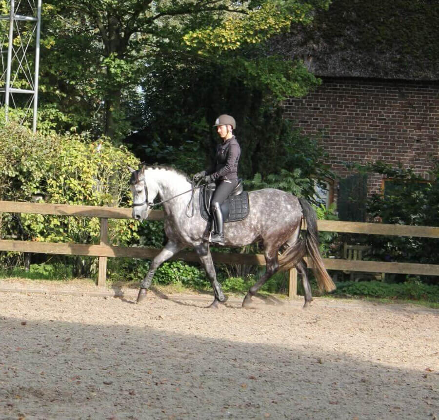 contact saskia coumans